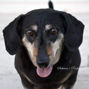 Meet your Posher, Connie